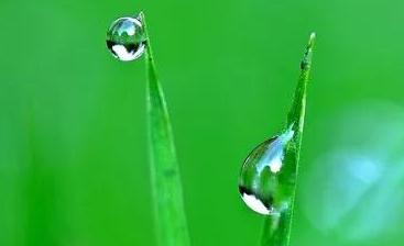補水和保濕混為一談？怪不得你的皮膚一直好不了！